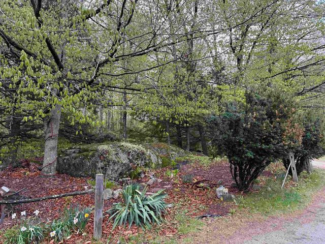 3781 Flamstead Road, Chester, VT 05143