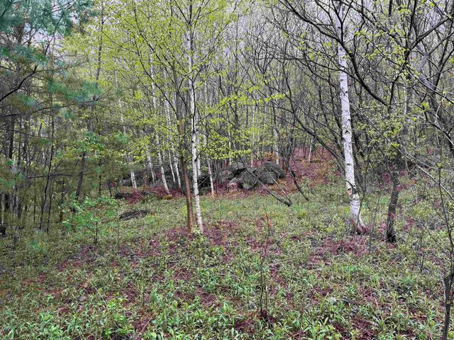 3781 Flamstead Road, Chester, VT 05143