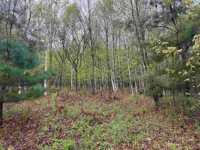 3781 Flamstead Road, Chester, VT 05143