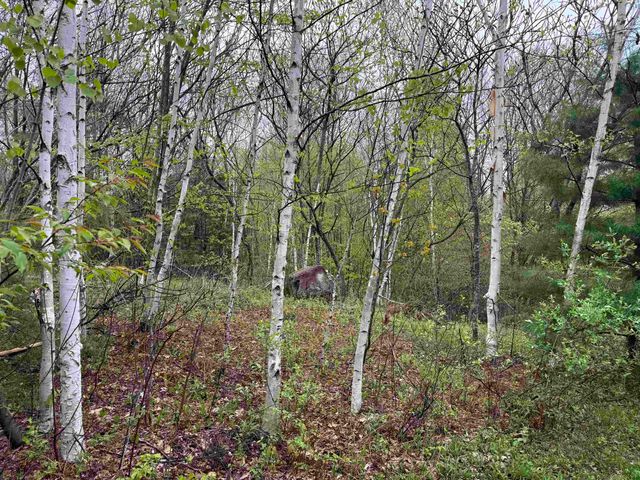 3781 Flamstead Road, Chester, VT 05143
