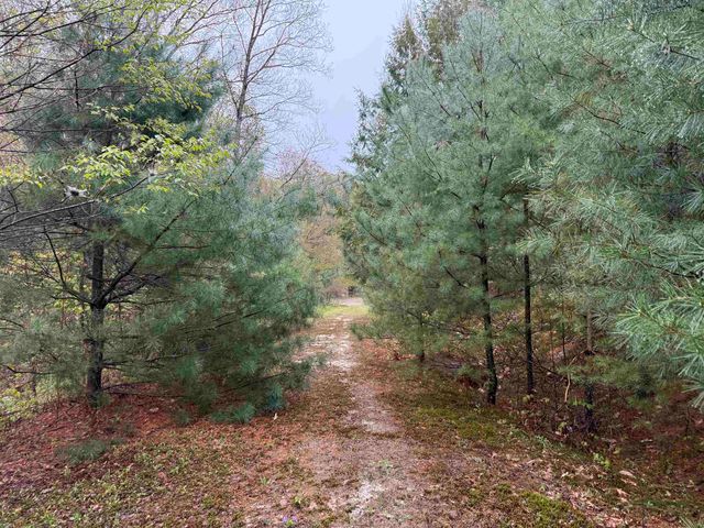 3781 Flamstead Road, Chester, VT 05143