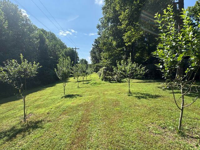 378 Shugars Hill Road, Liberty, KY 42539