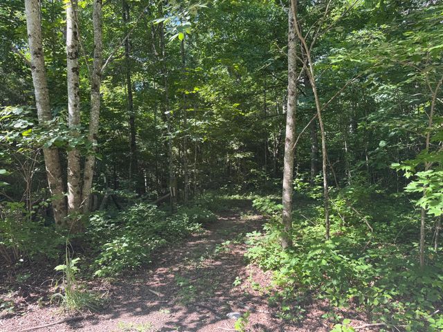 378 Shugars Hill Road, Liberty, KY 42539