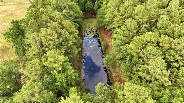 10007 Jacksonboro, Cottageville, SC 29435