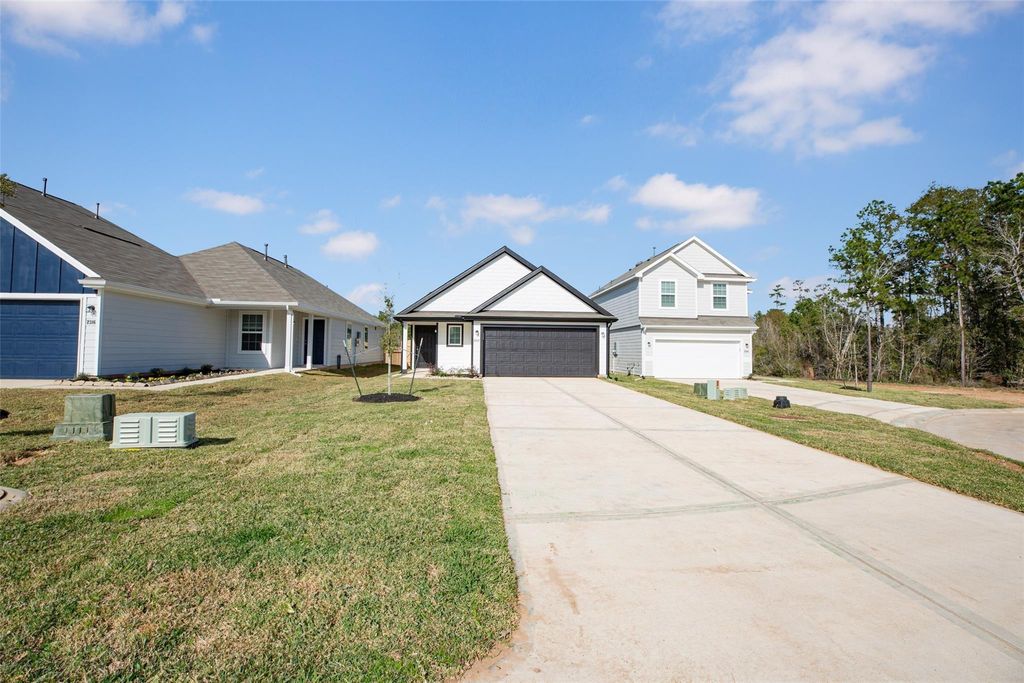 2312 Mooneye Court, Conroe, TX 77384