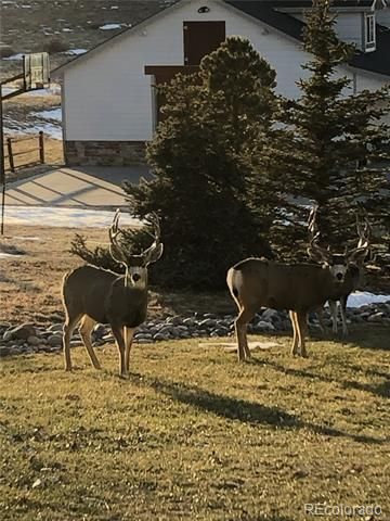 2385 Antelope Ridge Trail, Parker, CO 80138