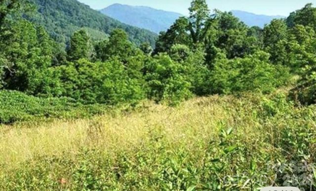 00 Split Pine Cove, Clyde, NC 28721