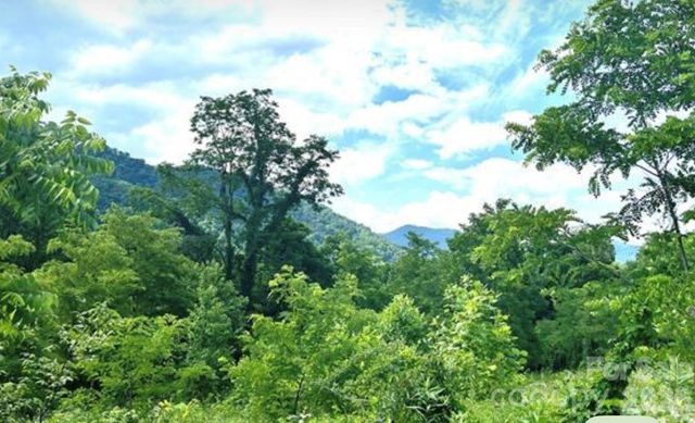 00 Split Pine Cove, Clyde, NC 28721