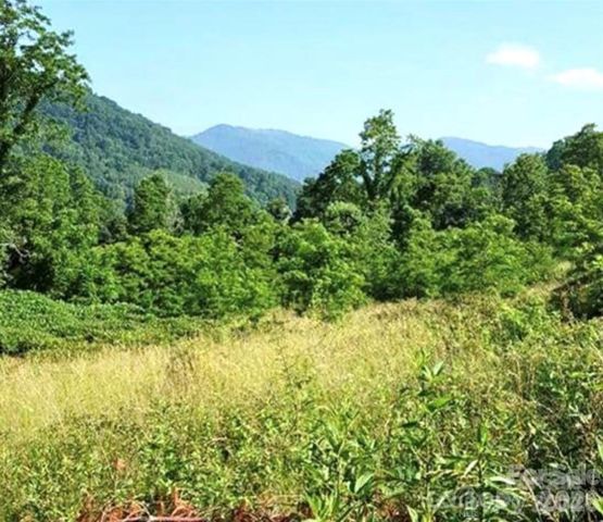 00 Split Pine Cove, Clyde, NC 28721
