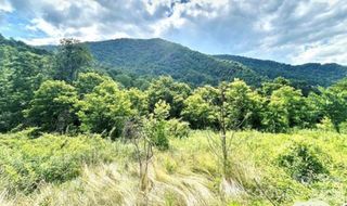 00 Split Pine Cove, Clyde, NC 28721