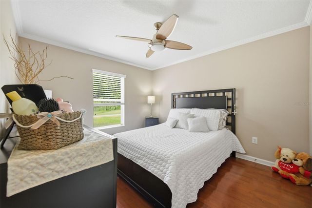 25946 RISEN STAR DRIVE, Wesley Chapel, FL 33544