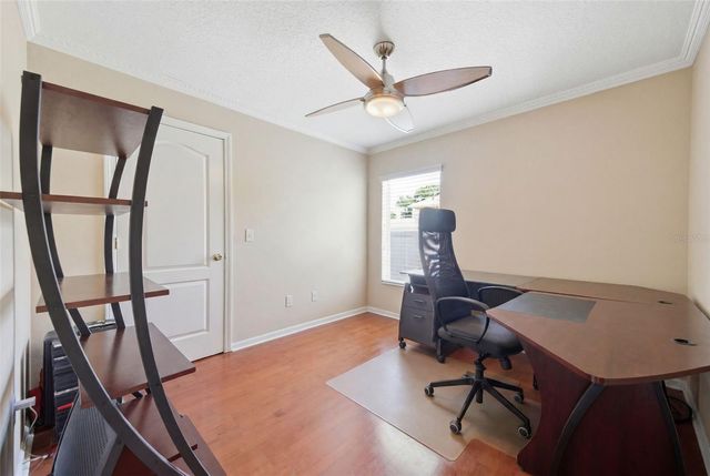 25946 RISEN STAR DRIVE, Wesley Chapel, FL 33544