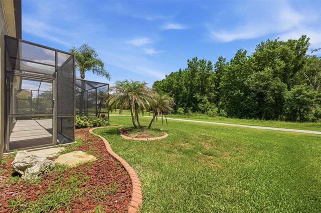 25946 RISEN STAR DRIVE, Wesley Chapel, FL 33544