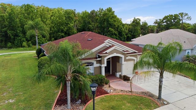 25946 RISEN STAR DRIVE, Wesley Chapel, FL 33544