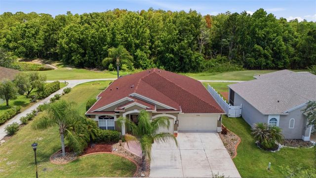 25946 RISEN STAR DRIVE, Wesley Chapel, FL 33544