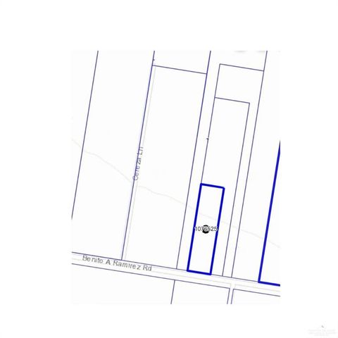 5504 Benito A Ramirez Road, Edinburg, TX 78542