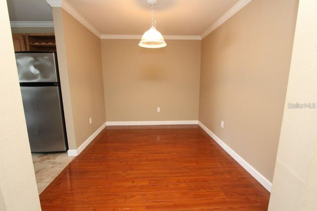 18517 BRIDLE CLUB DRIVE 18517, Tampa, FL 33647