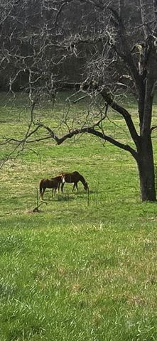 109 Creek Bend Ln, Manchester, TN 37355