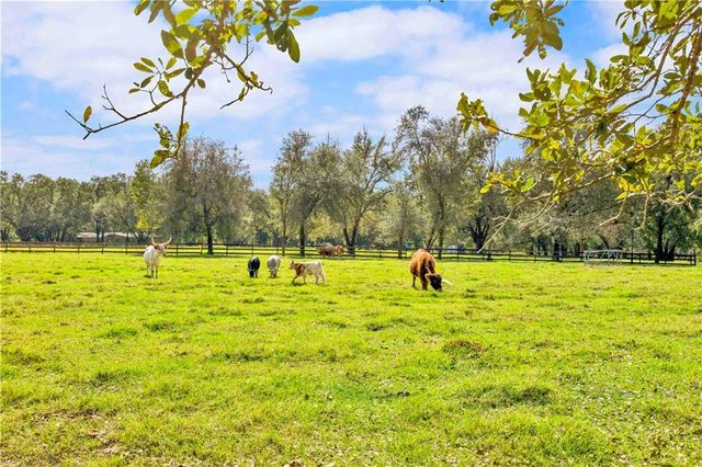 17425 County Road 55 Road 30 Acres, Summerdale, AL 36580