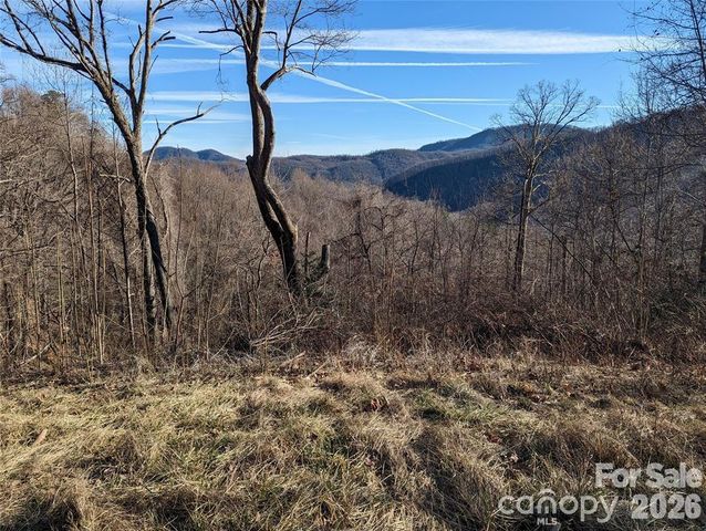 117 Ironwood Lane C-20, Black Mountain, NC 28711