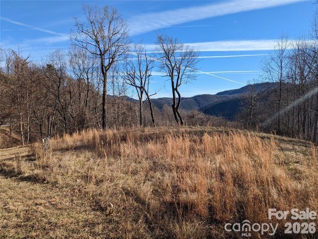 117 Ironwood Lane C-20, Black Mountain, NC 28711
