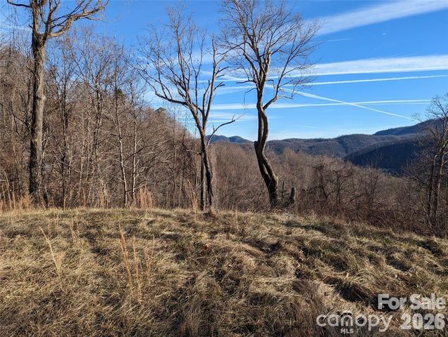 117 Ironwood Lane C-20, Black Mountain, NC 28711