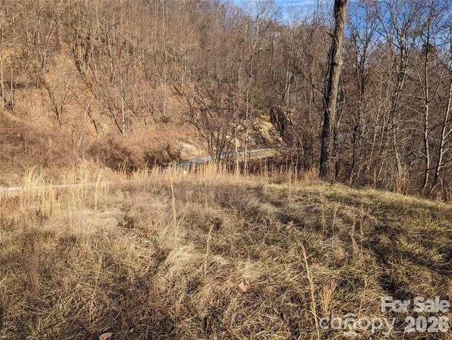 117 Ironwood Lane C-20, Black Mountain, NC 28711