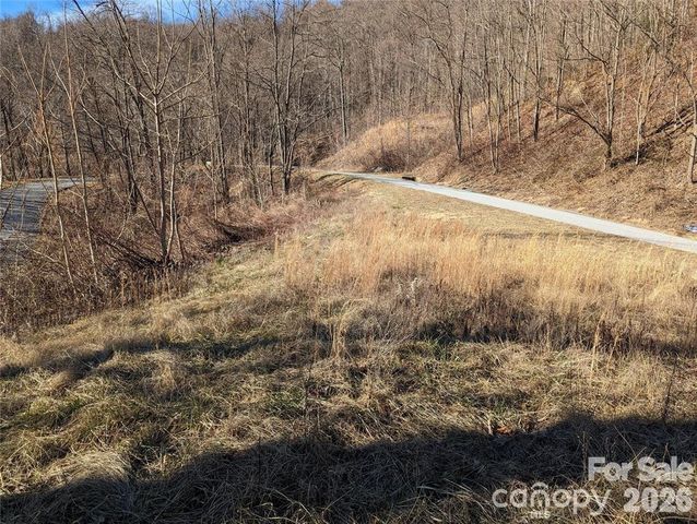 117 Ironwood Lane C-20, Black Mountain, NC 28711
