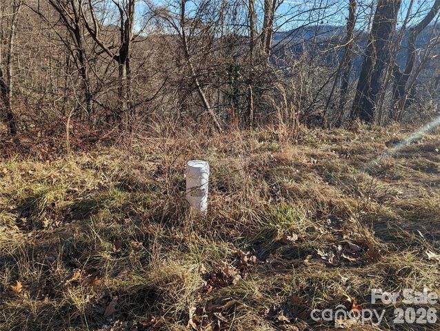 117 Ironwood Lane C-20, Black Mountain, NC 28711