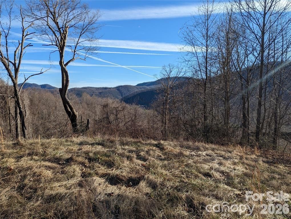 117 Ironwood Lane C-20, Black Mountain, NC 28711