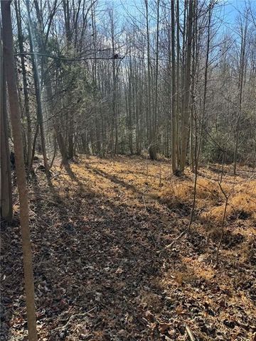 001 Rock Creek Ch Road, North Wilkesboro, NC 28659