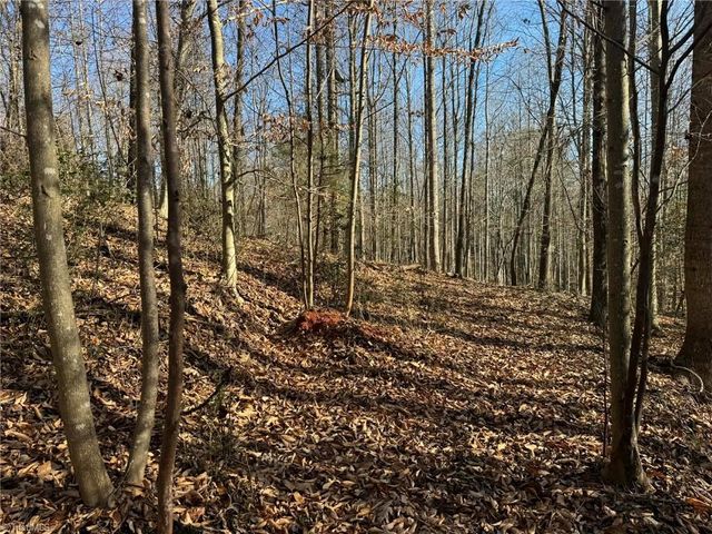 001 Rock Creek Ch Road, North Wilkesboro, NC 28659