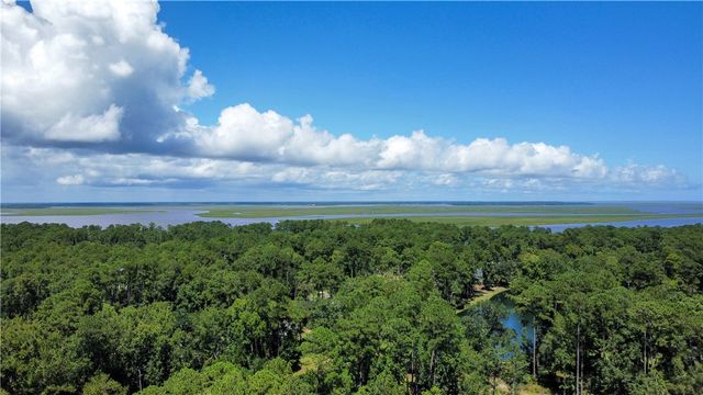 Lot 171 Winterberry Drive NE, Townsend, GA 31331