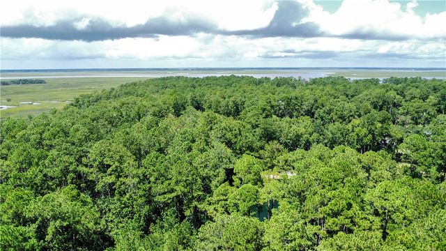 Lot 171 Winterberry Drive NE, Townsend, GA 31331