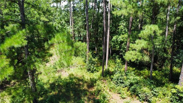 Lot 171 Winterberry Drive NE, Townsend, GA 31331