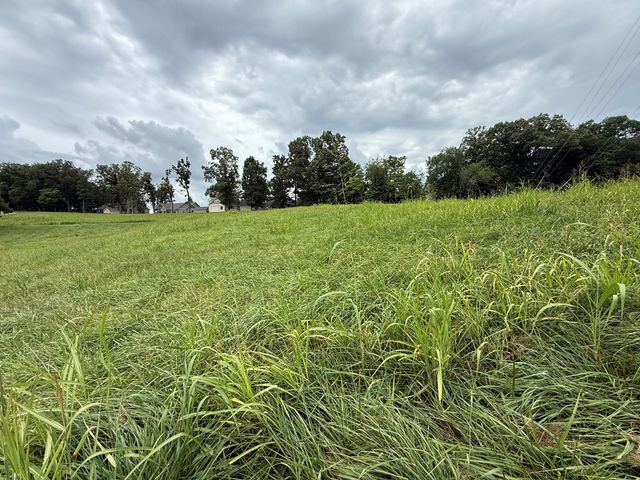 LOT 2 Viewpoint Lane, Blairsville, GA 30512