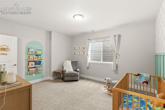 2144 Seaglass Street, Colorado Springs, CO 80921