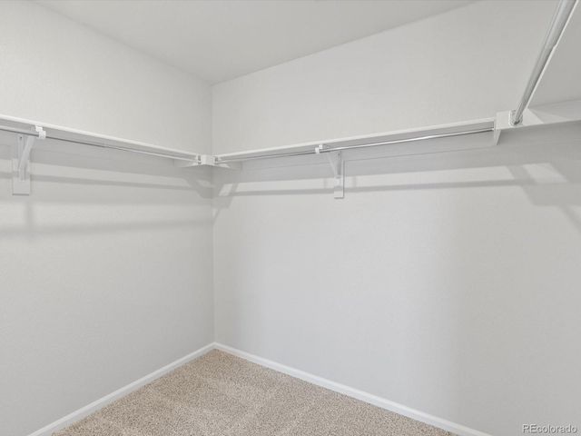 1134 Thunder Pass Road, Severance, CO 80550