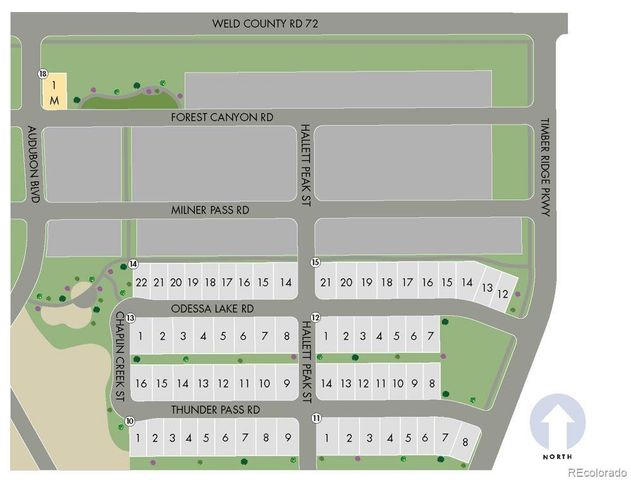 1134 Thunder Pass Road, Severance, CO 80550