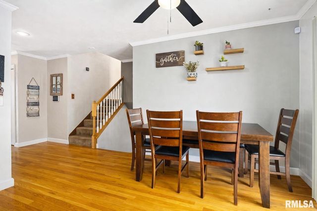 430 NAPPANEE Point, Peoria, IL 61604