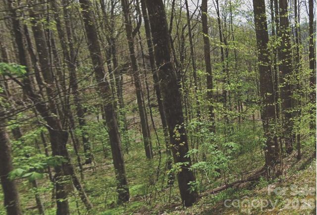 000 Heather Way, Waynesville, NC 28786