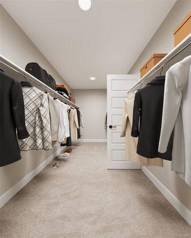 705 96th Avenue Place, Greeley, CO 80634