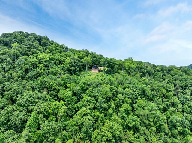 45 Benjamins Ln, Carthage, TN 37030