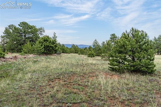 143 Ring Road, Guffey, CO 80820