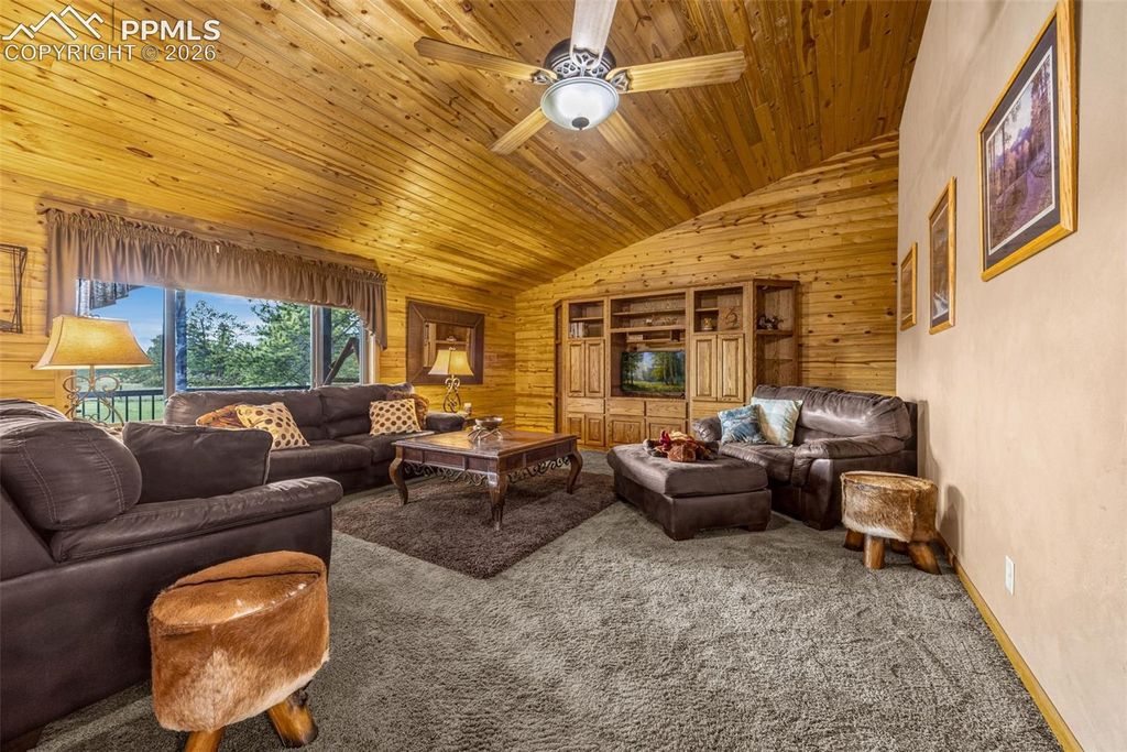 143 Ring Road, Guffey, CO 80820 — photo 5