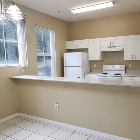 5016 SUNRIDGE PALMS DRIVE, Tampa, FL 33617