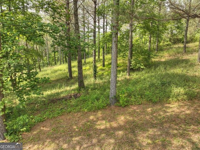 LOT 31 Eastside Drive, Ellijay, GA 30536