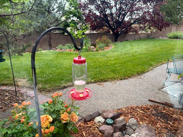 12520 Crested Moss Road NE, Albuquerque, NM 87122