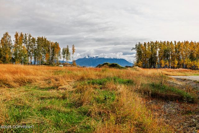 6220 S Ridgefield Drive, Wasilla, AK 99654