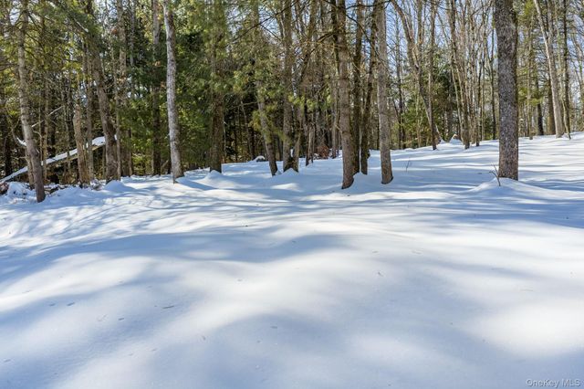 943 State Route 55, Eldred, NY 12732